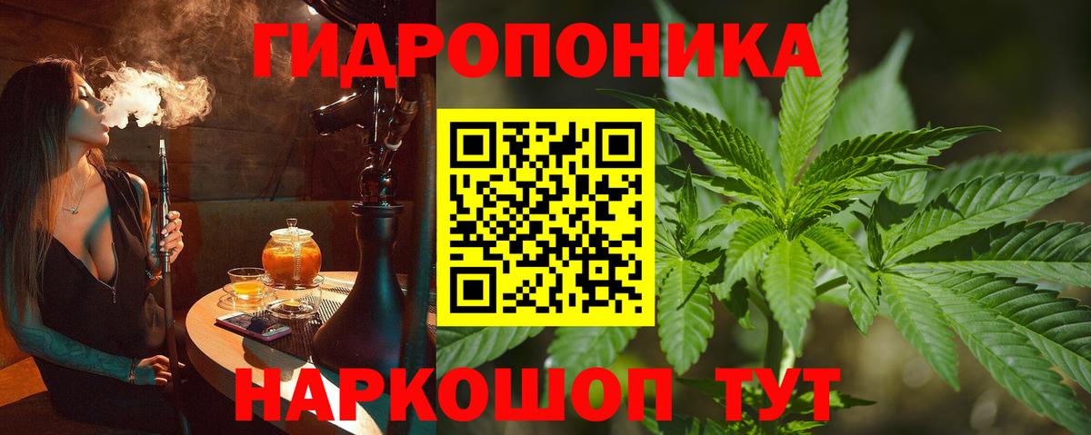 Шишки марихуана конопля Мценск